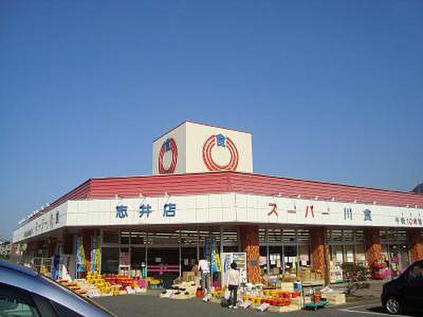 【周辺】☆スーパー川食 食彩館 志井店（240m）