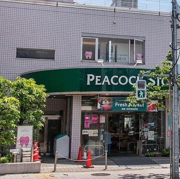 【周辺】【スーパー】ピーコックストア 桜新町店まで511ｍ