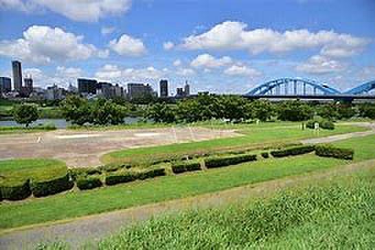 【周辺】多摩川丸子橋緑地約1800ｍ