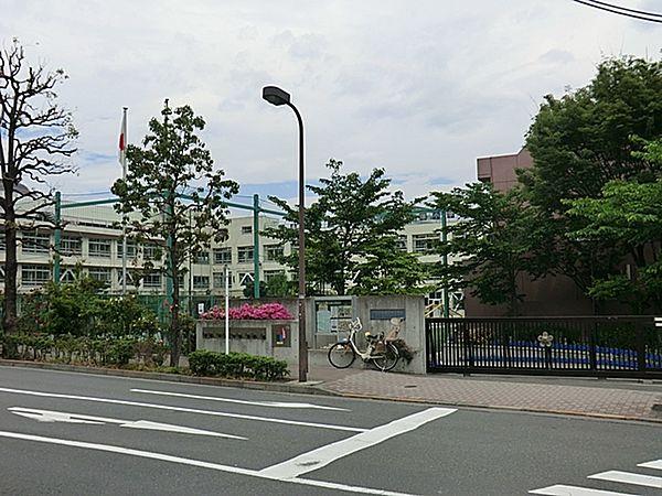 【周辺】渋谷区立加計塚小学校 564m