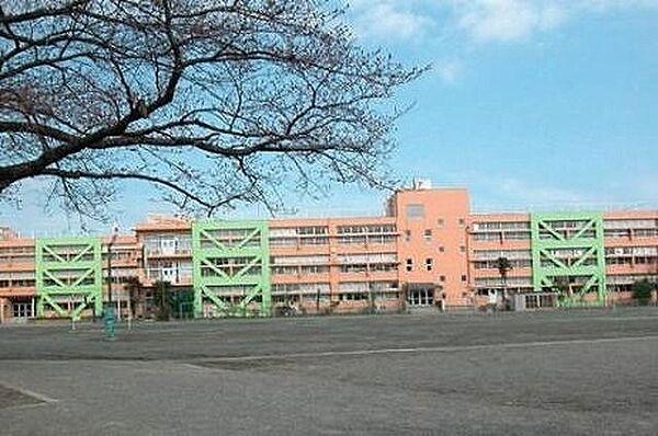 【周辺】日野市立日野第一小学校 555m