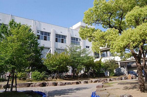 【周辺】【小学校】高松市立太田小学校まで791ｍ