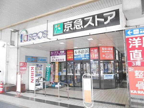 【周辺】京急ストア追浜店 631m