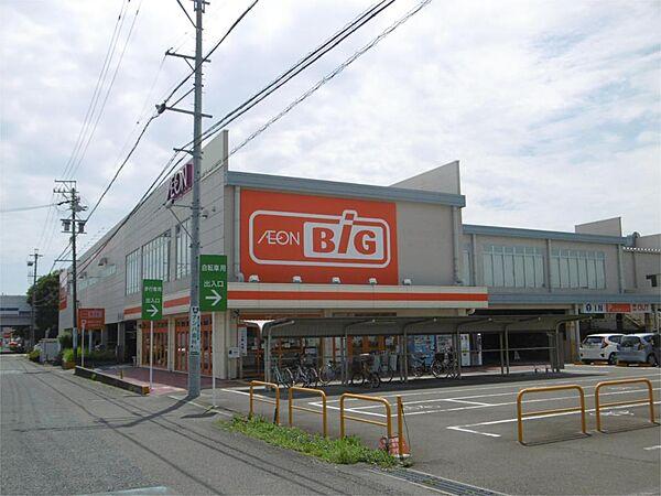 【周辺】The Big（ザ・ビッグ） 静岡登呂店（216m）