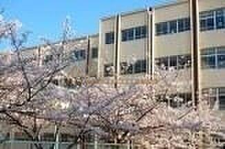 【周辺】神戸市立桜の宮小学校 671m