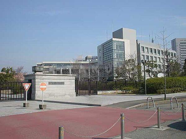 【周辺】【大学】大阪大学　工学部まで538ｍ