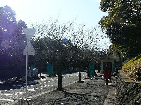 【周辺】横浜市立大学　金沢八景キャンパス（571m）