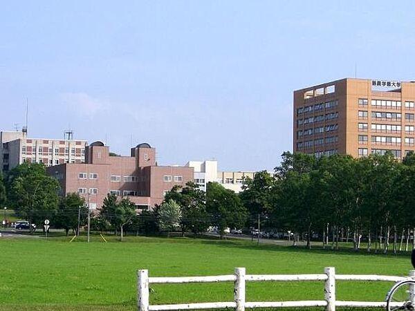 【周辺】酪農学園大学