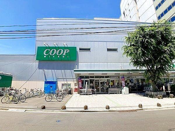 【周辺】COOP　MIYAGI柏木店 徒歩7分。 500m