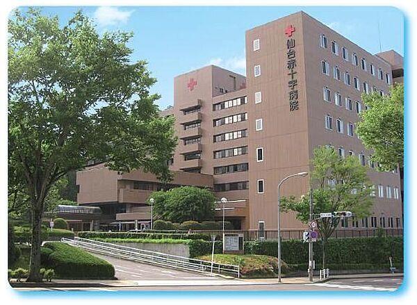 【周辺】総合病院仙台赤十字病院 徒歩10分。 790m