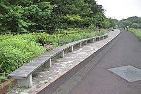 【周辺】広瀬川緑地 徒歩10分。 750m