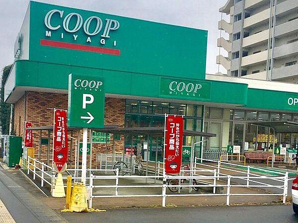【周辺】COOP　MIYAGI市名坂店 徒歩4分。 310m