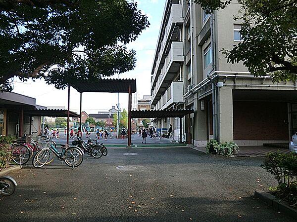 【周辺】横浜市立大豆戸小学校　800ｍ