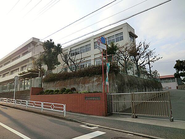 【周辺】横浜市立丸山台小学校　670ｍ