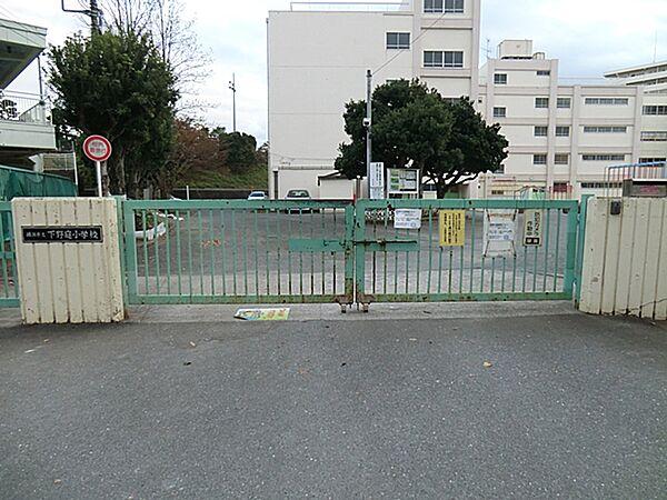 【周辺】横浜市立下野庭小学校　540ｍ
