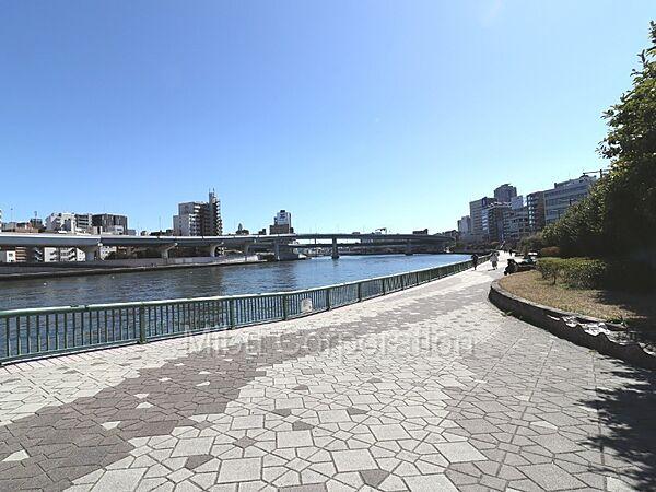 【周辺】天気の良い日は気持ちのいい景色と香りが楽しめます「隅田川テラス」。屋形船やいろいろな船・ボートにも出会えます。