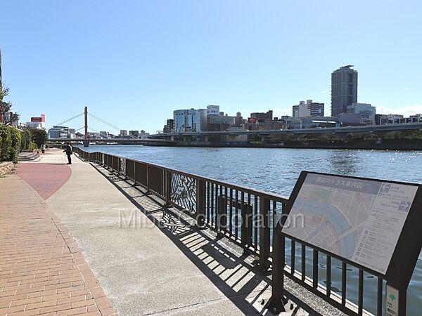 【周辺】隅田川沿いは遊歩道のためペットのお散歩・ジョギングにも最適です。