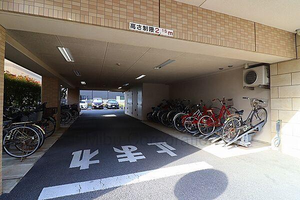【駐車場】奥側が平置き駐車場、手前が駐輪場の写真です。