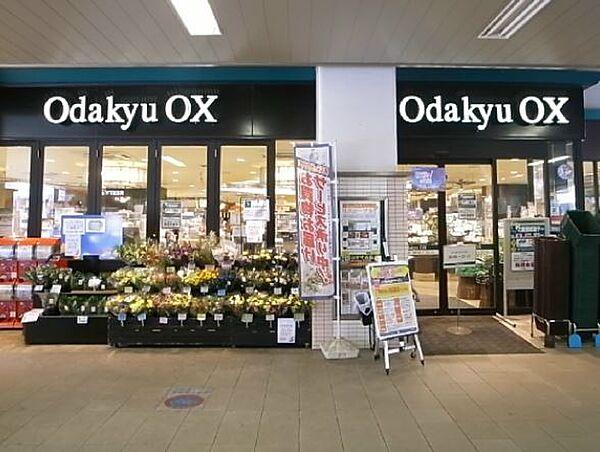 【周辺】Odakyu OX（オダキュウ オーエックス） 梅ヶ丘店（137m）