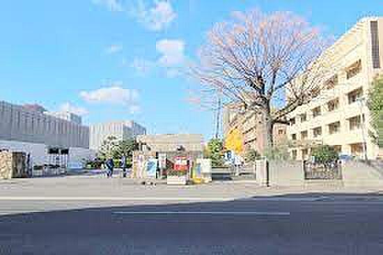 【周辺】【大学】香川大学幸町キャンパスまで809ｍ