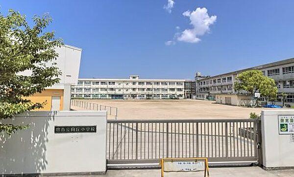 【周辺】【小学校】堺市立向丘小学校まで1271ｍ