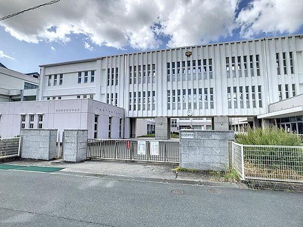 【周辺】山口市立白石中学校(733m)