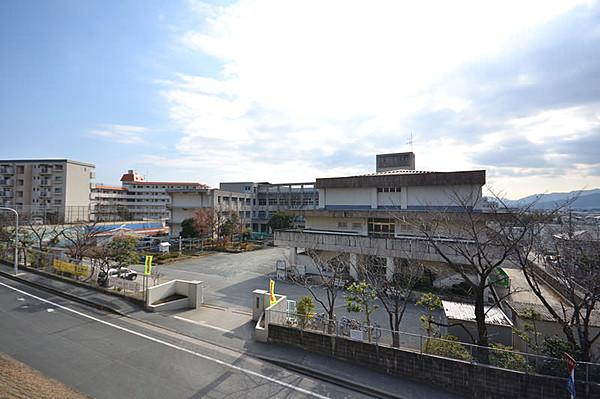 【周辺】福岡市立大池小学校（756m）