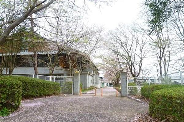 【周辺】谷田部東中学校