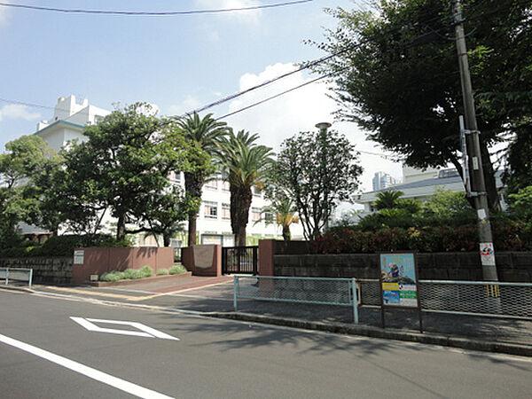 【周辺】広島市立本川小学校：徒歩5分（400ｍ）