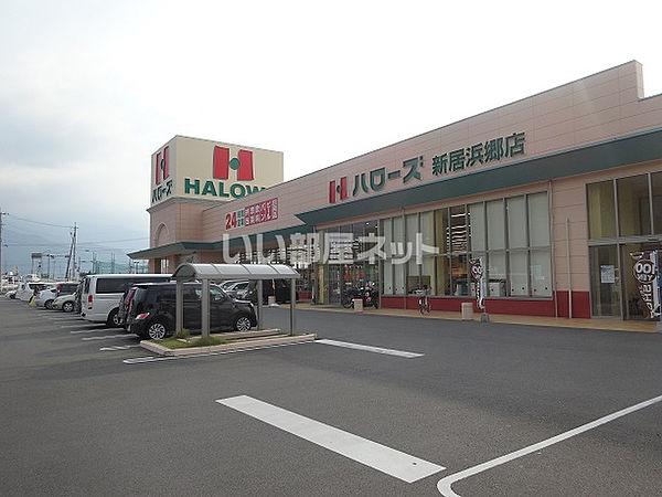 【周辺】【スーパー】ハローズ新居浜郷店まで347ｍ