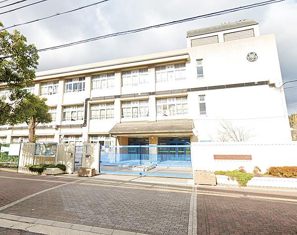 【周辺】神戸市立蓮池小学校 (102m)