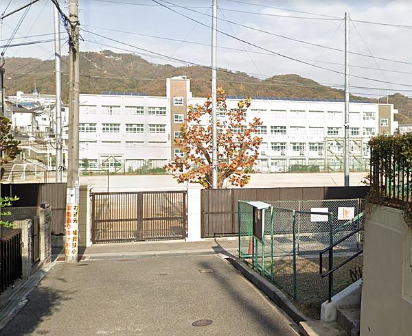 【周辺】神戸市立西代中学校 (933m)