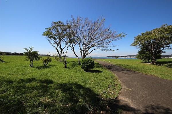 【周辺】道路を挟んだ向かい側は広～い富浦公園。海沿いをずっと歩ける気持ちの良い公園です