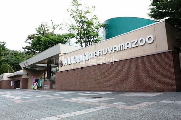【周辺】【動物園】円山動物園まで1085ｍ