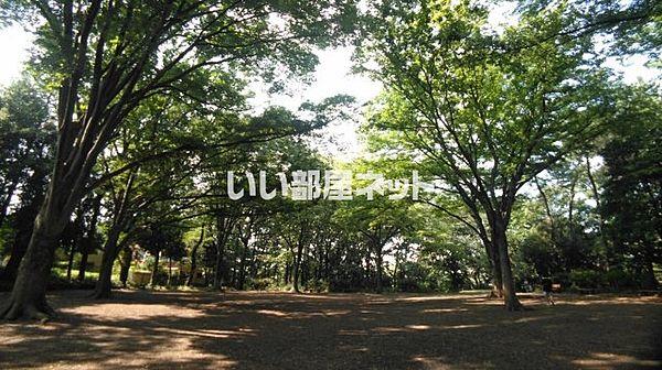 【周辺】【公園】石神井公園まで887ｍ