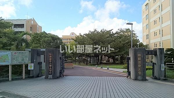 【周辺】【大学】私立沖縄国際大学まで2707ｍ