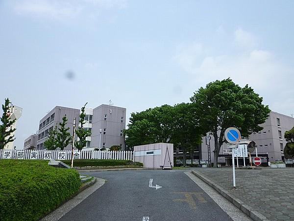 【周辺】【大学】日本大学生産工学部 実籾キャンパスまで891ｍ