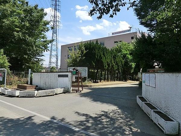 【周辺】【中学校】草加市立新栄中学校まで1164ｍ