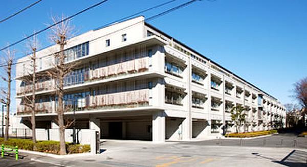 【周辺】【大学】私立東京都市大学世田谷キャンパスまで1137ｍ