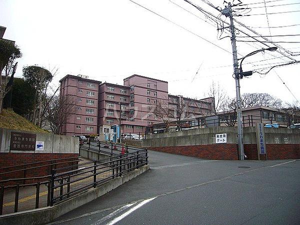 【周辺】【総合病院】横須賀市立うわまち病院まで1233ｍ