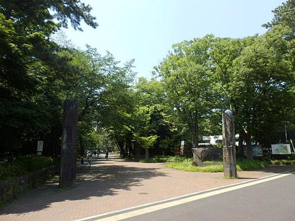 【周辺】【公園】平塚市総合公園まで1262ｍ