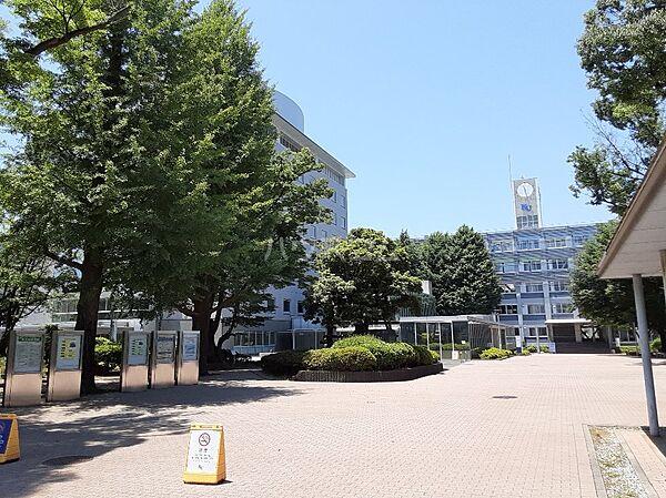 【周辺】【大学】神奈川大学まで1294ｍ