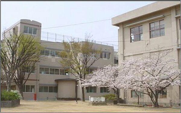 【周辺】【小学校】豊中市立　桜塚小学校まで742ｍ