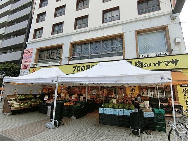 【周辺】スーパー「肉のハナマサ板橋志村店まで352m」