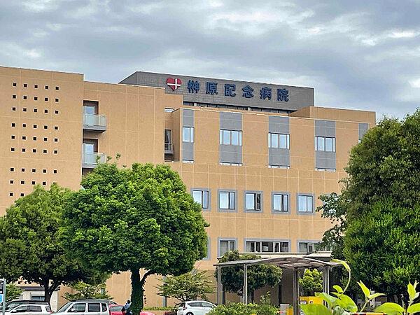 【周辺】病院「公益財団法人日本心臓血圧研究振興まで409m」
