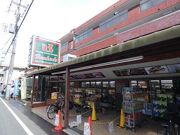 【周辺】スーパー「スーパー文化堂緑ヶ丘店まで311m」