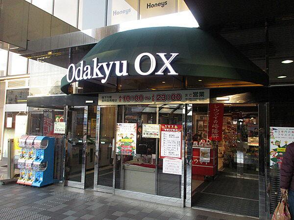 【周辺】スーパー「OdakyuOX狛江店まで309m」