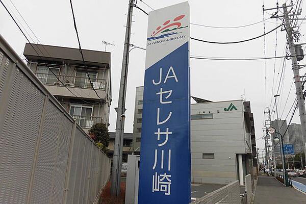 【周辺】銀行「JAセレサ川崎住吉支店まで920m」