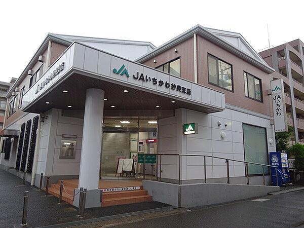 【周辺】銀行「JAいちかわ妙典支店まで217m」