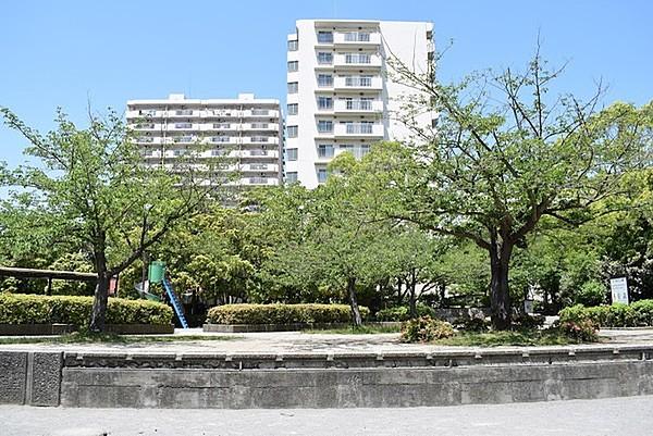 【周辺】江戸川区は人口一人当たりの公園面積1位